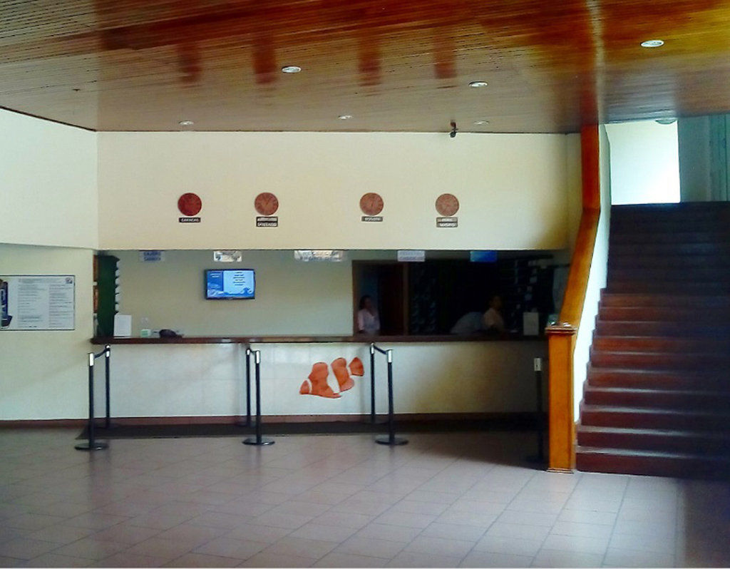 מלון Playa El Agua Portofino Complex מראה חיצוני תמונה